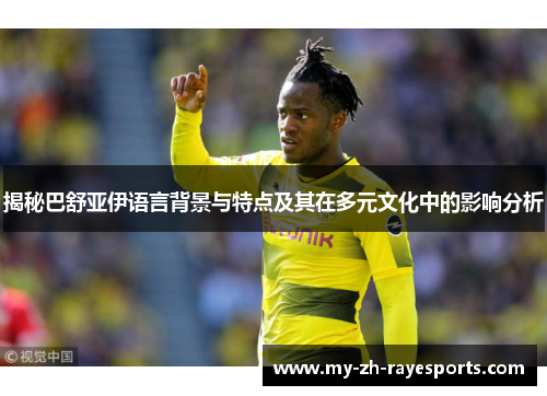 揭秘巴舒亚伊语言背景与特点及其在多元文化中的影响分析