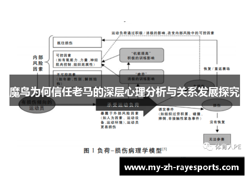 魔鸟为何信任老马的深层心理分析与关系发展探究