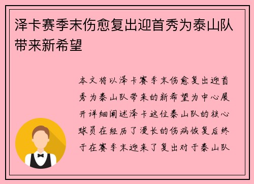 泽卡赛季末伤愈复出迎首秀为泰山队带来新希望